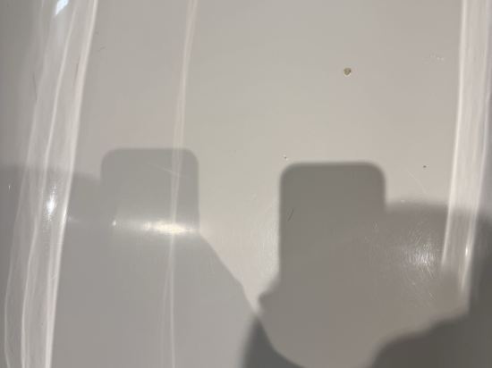 阿梅隆盧塞恩芙羅拉飯店優惠