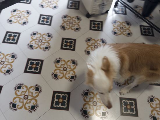 SlowHouse 花喜民宿（西街鐘樓店）優惠