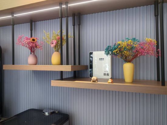 雲朵飯店（成都天府國際機場店）優惠