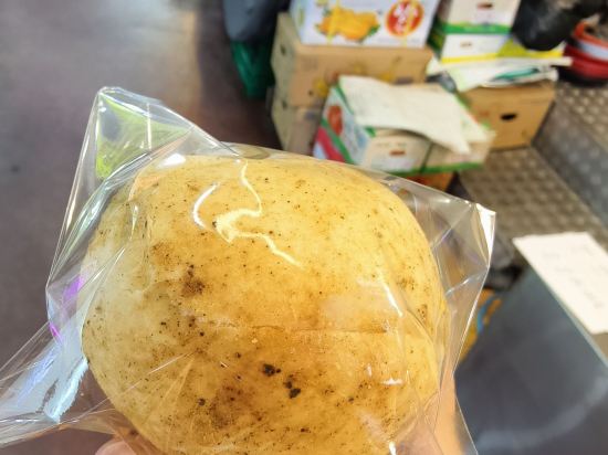 더 뷰티 호텔 쿠폰