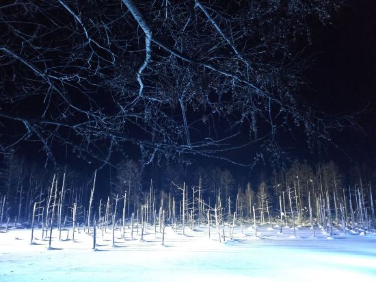 大雪山白金觀光飯店優惠
