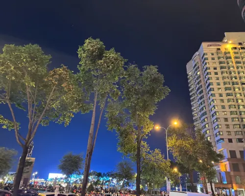 Truong Dinh A25酒店 酒店鄰近 Photos