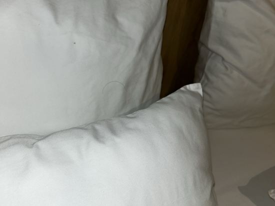 MIHN SUITES BEN THANH優惠