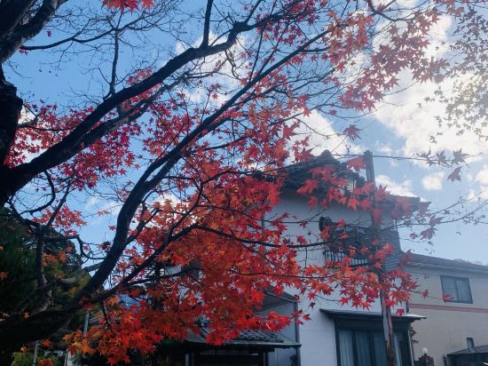 福岡博德昆泰沙休閒安睡飯店優惠