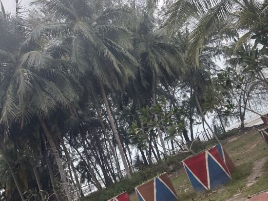 吉隆坡黃金棕櫚樹度假村優惠