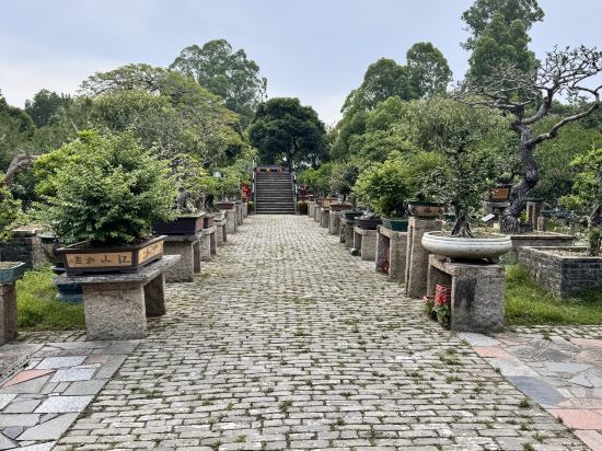 中山盛景尚峯酒店優惠