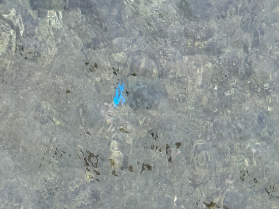 南部高爾夫球場度假飯店優惠