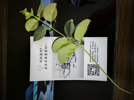 春天裡精品飯店（廣州燕塘地鐵站店）優惠