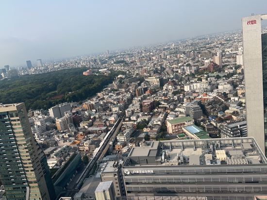 小田急ホテルセンチュリーサザンタワー クーポン