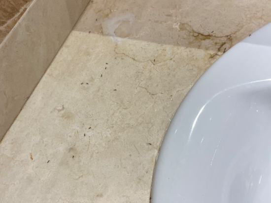 加泰羅尼亞馬略卡酒店優惠