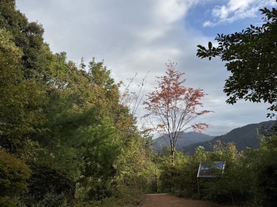 数寄屋風別館 佳水園 クーポン