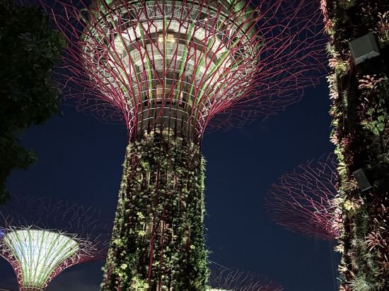 新加坡港灣彩鴻酒店 （Staycation Approved）優惠