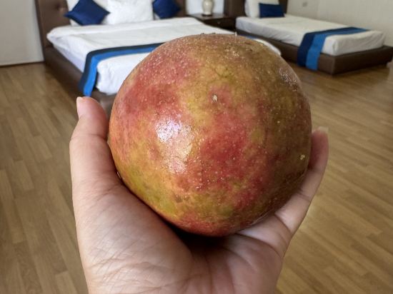 芭達雅馬克蘭德海濱飯店優惠