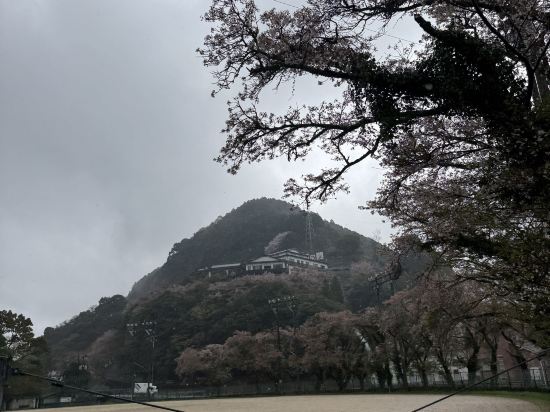 みはらしの宿　杉乃家 クーポン