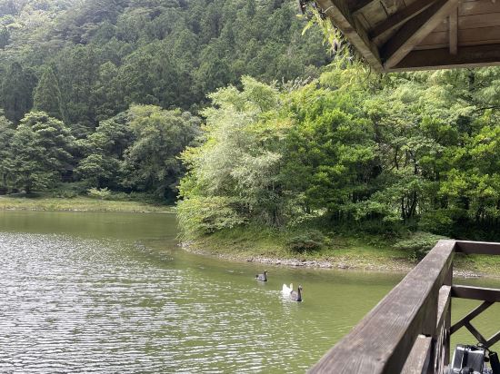 宜蘭大同明池山莊優惠