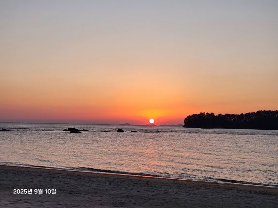 비체 팰리스 쿠폰