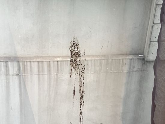 曼谷艾拉飯店優惠