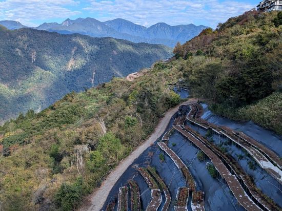 南投清境民生果園山莊優惠
