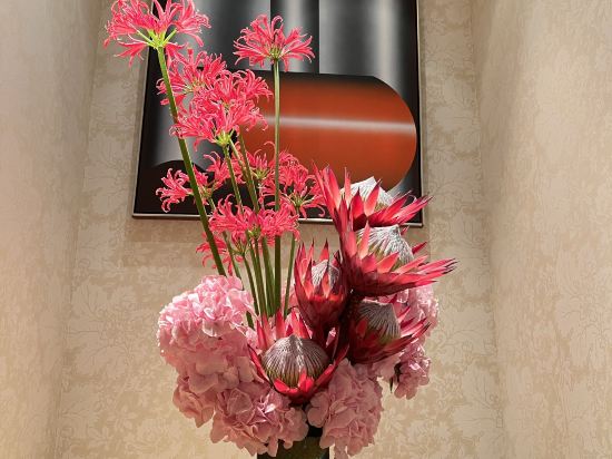 多爾德大酒店優惠