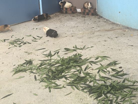 清遠恆大酒店優惠