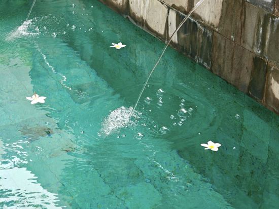 Cross峇裡島大浪度假村優惠