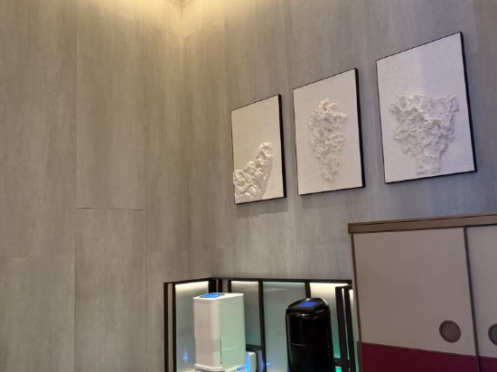 成都高新禧玥飯店優惠