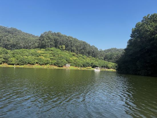 塘廈三正半山溫泉飯店優惠