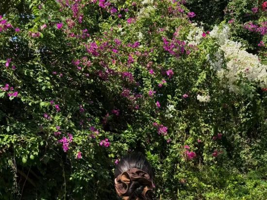 泉州市鯉好吖民宿優惠