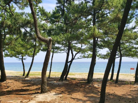 더 뷰티 호텔 쿠폰