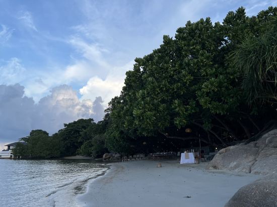 瑞僖敦民丹島度假村優惠