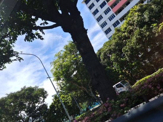 馬裡士塔飯店優惠