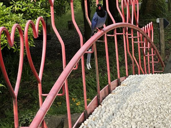 陽明温泉渡假村優惠