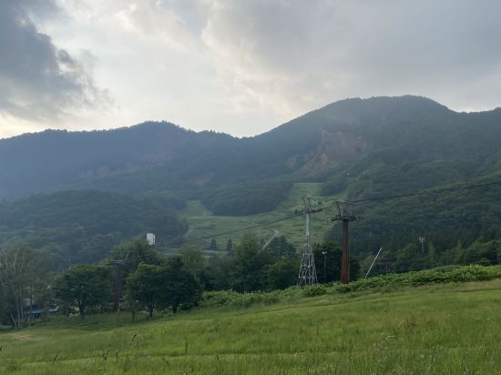 高見屋集團樹林飯店優惠