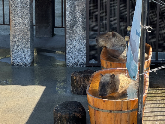 宜蘭綠舞國際觀光飯店優惠