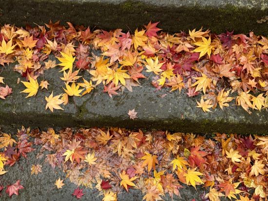 匠之宿深山櫻庵旅館優惠
