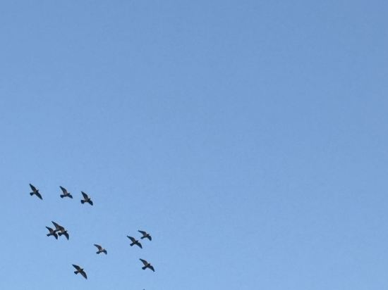 瀋陽盛捷和平服務公寓優惠