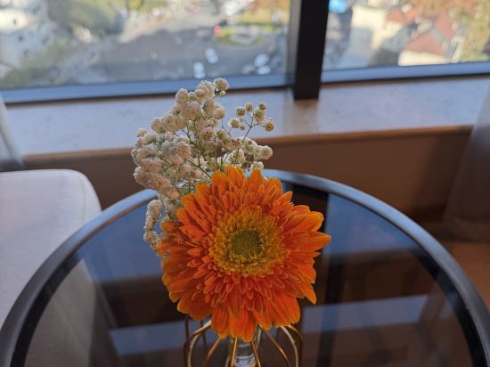 上海青松城大酒店優惠