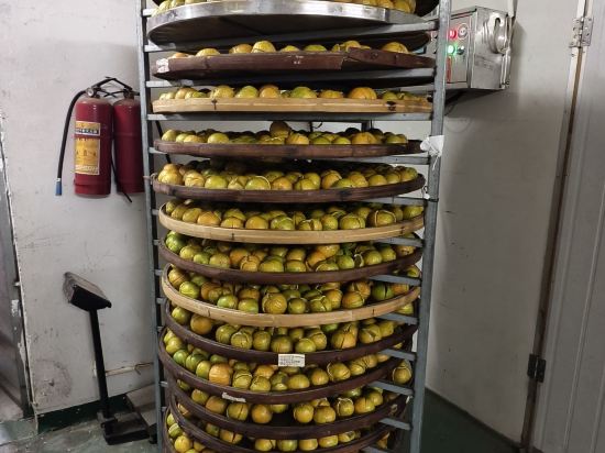 江門柏麗宜居酒店（柏逸岡州大道店）優惠