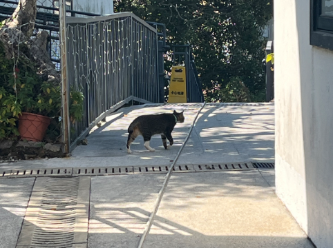香港文化旅館-翠雅山房優惠
