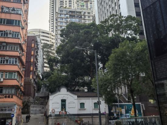 逸東軒住寓（香港灣仔峽道店）優惠