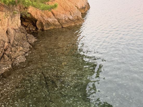 賢島宝生苑 クーポン