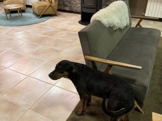 埃爾卡拉法特ACA酒店優惠