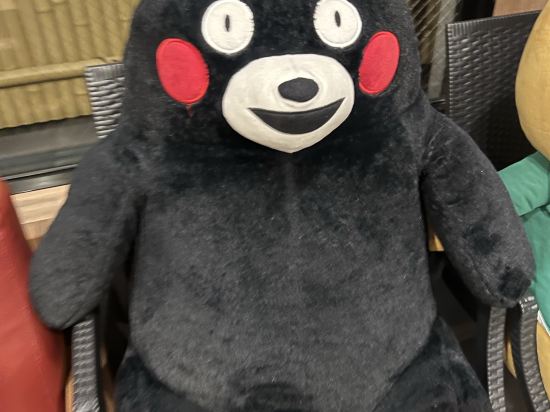 ホテルルートイン熊本駅前 クーポン