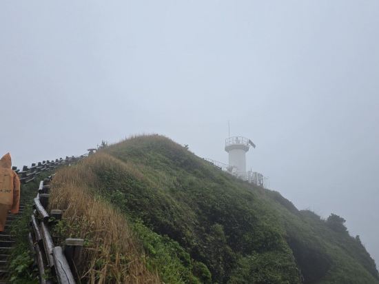 플레이스 캠프 제주 쿠폰
