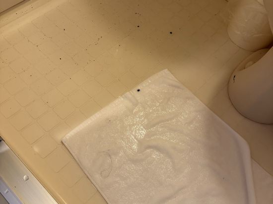 アクティブリゾーツ 宮城蔵王 クーポン