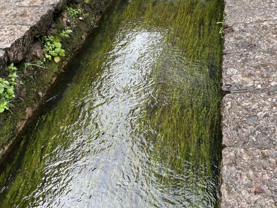 花築奢·麗江古城沁湖軒湖景花園客棧優惠