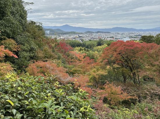 M’s Plus 四條大宮酒店優惠