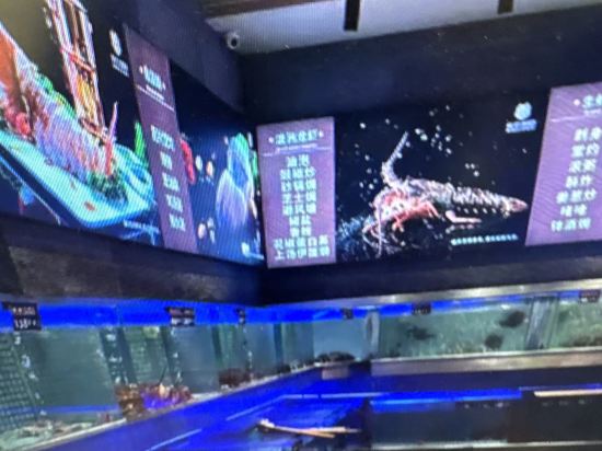 珠海棕泉水療酒店優惠