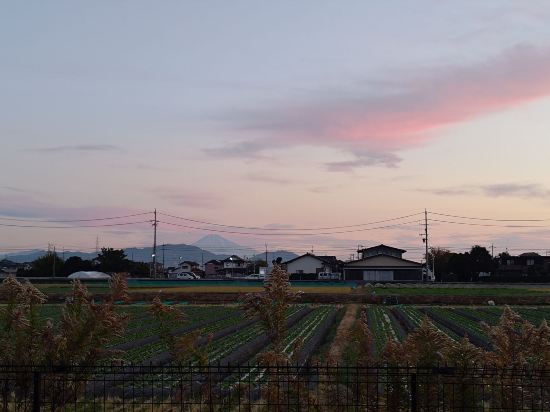 ハタゴイン静岡吉田インター クーポン