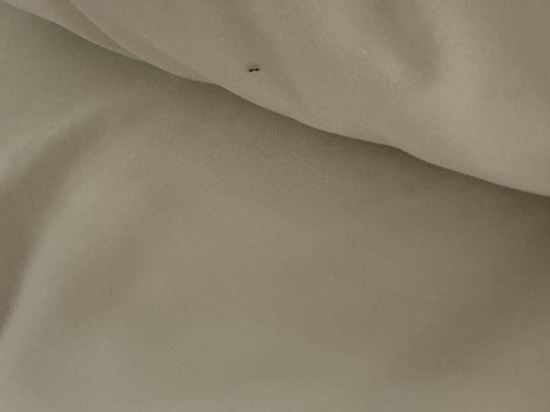 惠特菲爾德吉隆坡白金套房飯店2優惠